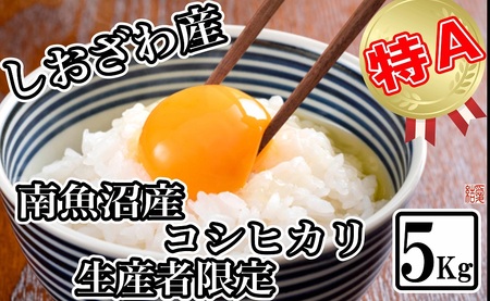 yߘa7NYzyYҌ _͔|z싛YRVqJ5kgy2025N10{菇\z