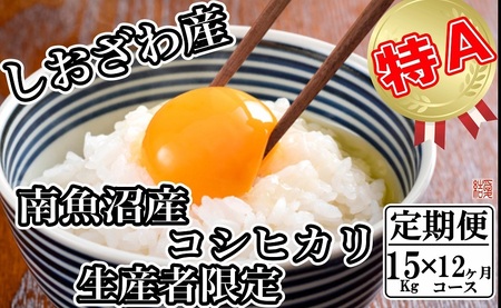 yߘa7NYzyց^15kg×12zYҌ _͔| 싛YRVqJy2025N10{菇\z