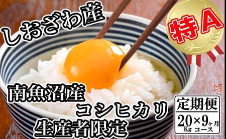 yߘa7NYzyց^20kg×9zYҌ _͔| 싛YRVqJy2025N10{菇\z