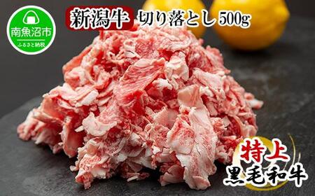 新潟牛 南魚沼産 にいがた 黒毛和牛 切り落とし 500g