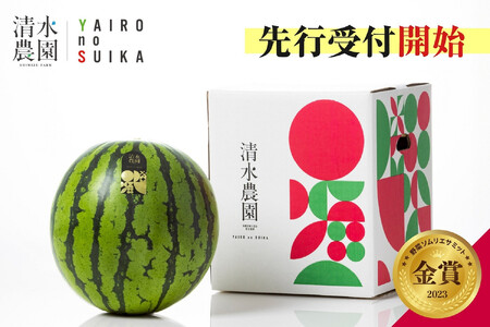 2026N7{\@؃\GT~bg܎܁@_̑ʃXCJi1ʁj