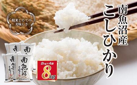 �V���� �싛���Y �R�V�q�J�� �����Ђ��� ���� 2kg ×4�� �v8kg ���� ���� �� �������K�C�h�t��