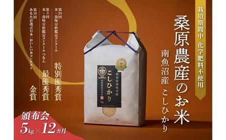 [頒布会]R7年産新米予約 最優秀賞受賞[8割減農薬]最高峰南魚沼産こしひかり5kg×12ヶ月 桑原農産のお米(精米)[2025年9月下旬より順次発送予定]