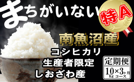 yߘa7NYzyցzYҌ _͔|@싛YRVqJi10Kg×3jy2025N10{菇\z