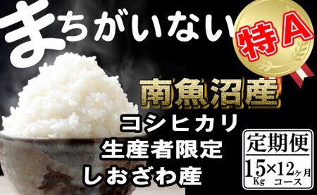 yߘa7NYzyցzYҌ _͔|@싛YRVqJi15Kg×12jy2025N10{菇\z