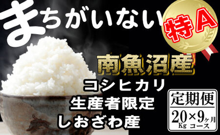 yߘa7NYzyցzYҌ _͔|@싛YRVqJi20Kg×9jy2025N10{菇\z