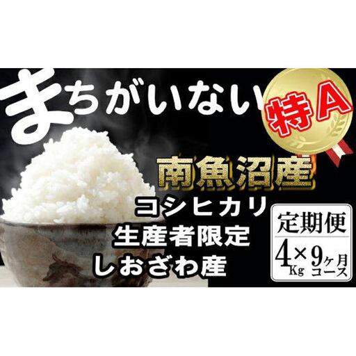 【令和7年産】【定期便】生産者限定 契約栽培　南魚沼しおざわ産コシヒカリ（4Kg×9ヶ月）【定期便 銘柄米 ブランド米 精米 こしひかり コシヒカリ 魚沼産 新潟米 産地直送 お米 米 こめ コメ ご飯 御飯 ごはん】