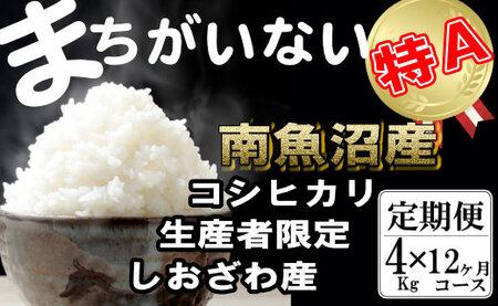 yߘa7NYzyցzYҌ _͔|@싛YRVqJi4Kg×12jy2025N10{菇\z