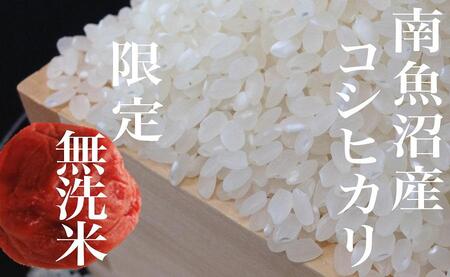 yߘa7NYzyցzsāt싛YRVqJ8Kg×S12y2025N10{菇\z