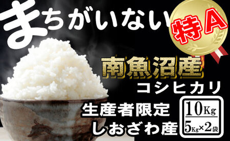 yߘa7NYzYҌ^_͔| 싛YRVqJ10Kgi5Kg×2܁jy2025N10{菇\z