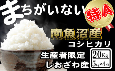 yߘa7NYzYҌ^_͔| 싛YRVqJ20KgiTKg ×4܁jy2025N10{菇\z