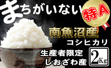 yߘa7NYzYҌ^_͔| 싛YRVqJ2Kgy2025N10{菇\z