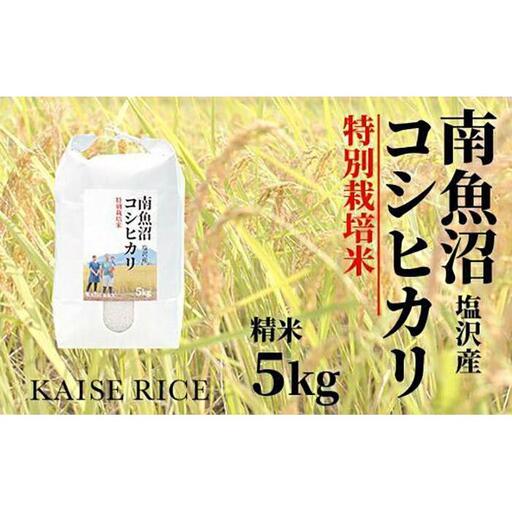 【令和7年産】南魚沼産塩沢コシヒカリ【従来品種】（特別栽培米８割減農薬）精米５ｋｇ