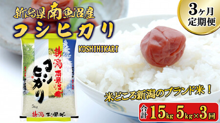 [令和7年産新米予約][A-3定期便]南魚沼産コシヒカリ5kg×3回[2025年11月中旬より順次発送予定]