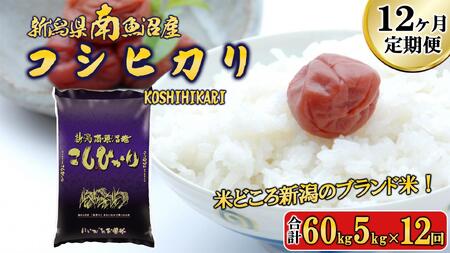 [令和6年産新米予約/令和6年11月上旬より順次発送][A-12定期便]南魚沼産コシヒカリ5kg×12回