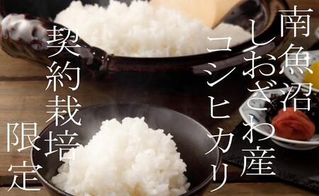 yߘa7NYzyցz_͔| 싛YRVqJ5Kg×12y2025N10{菇\z