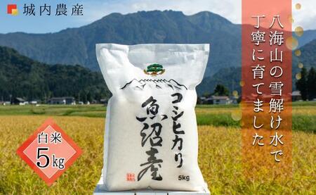 【令和6年産新米予約】南魚沼産コシヒカリ　白米５ｋｇ【５割減農薬栽培米】 城内農産
