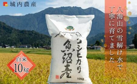 【令和6年産新米予約】南魚沼産コシヒカリ 白米１０ｋｇ 【５割減農薬栽培米】 城内農産