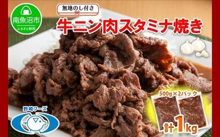nl V 싛s jX^~iĂ 500g × 2pbN v1kg t[Y Ⓚ y ȒP   ɂɂ  t