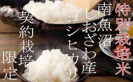 yߘa7NYzyz5Kg×6zʍ͔| YҌ  싛YRVqJy2025N10{菇\z