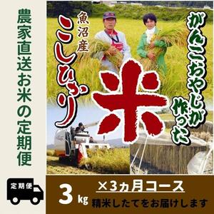 [令和7年産新米予約]3か月定期便 がんこおやじが作った南魚沼産コシヒカリ白米3kg[2025年10月20日頃より順次発送予定]