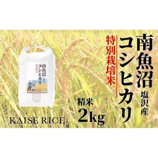 【令和7年産】【定期便】南魚沼産塩沢コシヒカリ【従来品種】（特別栽培米８割減農薬）精米２ｋｇ×全３回