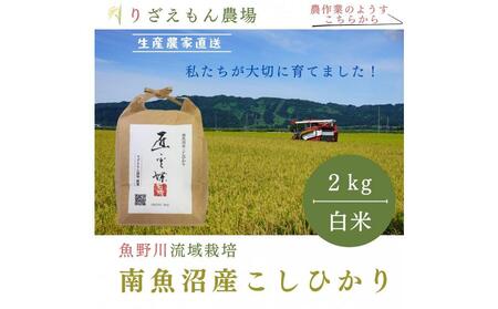 令和5年産 南魚沼産 コシヒカリ こしひかり 魚野川流域 特A地区 匠 雲蝶(たくみ うんちょう) 白米2kg ＼生産農家直送/