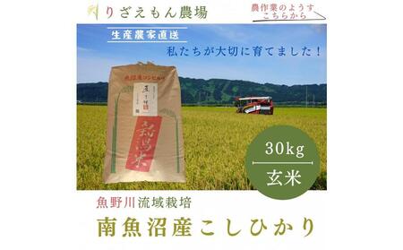 [令和7年産新米予約受付]玄米30kg 南魚沼産 コシヒカリ こしひかり 魚野川流域 匠 雲蝶(たくみ うんちょう)＼生産農家直送/[2025年10月上旬より順次発送予定]