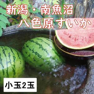 【新潟県 南魚沼産】八色原スイカ小玉２玉