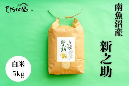 【令和7年産新米予約】金賞 南魚沼産新之助 白米5kg きらめく大粒！ ひらくの里ファーム【2025年10月上旬より順次発送予定】
