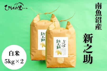 yR7NYz 싛YVV 5kg×2 ߂嗱I Ђ炭̗t@[y2025N11{菇\z