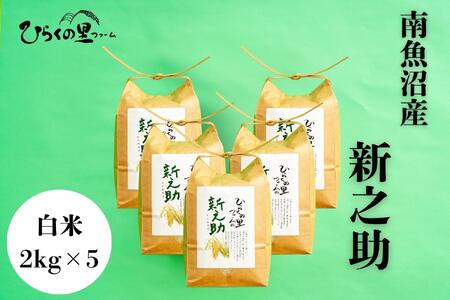 yR7NYz 싛YVV 2kg×5 ߂嗱I Ђ炭̗t@[y2025N11{菇\z