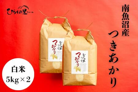 yR7NYz싛Y 5kg×2 艐₩I Ђ炭̗t@[