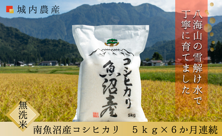 [令和6年産新米予約][お米定期便/全6回]南魚沼産コシヒカリ 無洗米5kg[5割減農薬栽培米] 城内農産