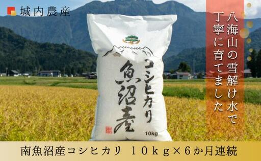 【令和７年産】【お米定期便/全６回】南魚沼産コシヒカリ 白米１０ｋｇ＜５割減農薬栽培米＞城内農産【定期便 銘柄米 ブランド米 精米 こしひかり コシヒカリ 魚沼産 新潟米 産地直送 お米 米 こめ コメ ご飯 御飯 ごはん】