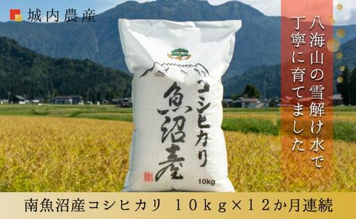 【令和７年産】【お米定期便/全１２回】南魚沼産コシヒカリ　白米１０ｋｇ＜５割減農薬栽培米＞城内農産【定期便 銘柄米 ブランド米 精米 こしひかり コシヒカリ 魚沼産 新潟米 産地直送 お米 米 こめ コメ ご飯 御飯 ごはん】