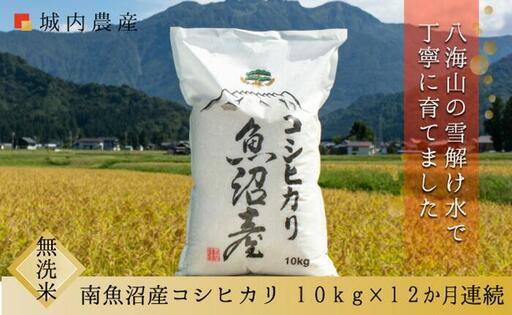 【令和７年産】【お米定期便/全１２回】南魚沼産コシヒカリ　無洗米１０ｋｇ＜５割減農薬栽培米＞城内農産【定期便 銘柄米 ブランド米 無洗米 こしひかり コシヒカリ 魚沼産 新潟米 産地直送 お米 米 こめ コメ ご飯 御飯 ごはん】