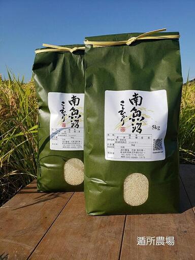 【令和8年産新米予約】南魚沼産コシヒカリ　白米１０ｋｇ（５ｋｇ×２）【銘柄米 ブランド米 精米 こしひかり コシヒカリ 魚沼産 新潟米 産地直送 お米 米 こめ コメ ごはん】【2026年10月中旬から1ヶ月以内に順次発送予定】