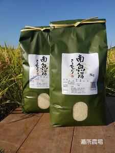 【令和7年産新米予約】【お米定期便/全６回】南魚沼産コシヒカリ　白米１０ｋｇ（５ｋｇ×２）【2025年10月中旬より順次発送予定】