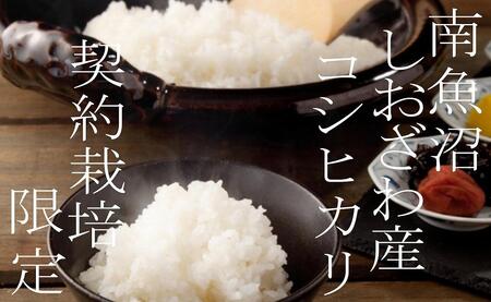 yߘa7NYzy20Kg×Rz_͔| 싛YRVqJy2025N10{菇\z