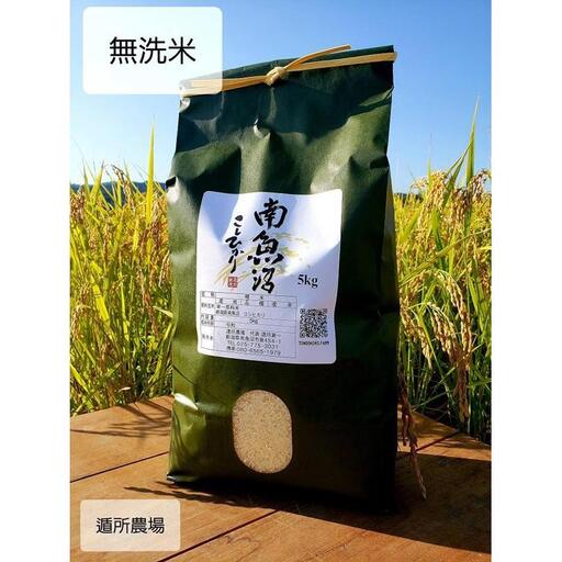 【令和8年産新米予約】【お米定期便/全１２回】南魚沼産コシヒカリ　　無洗米５ｋｇ【定期便 銘柄米 ブランド米 無洗米 こしひかり コシヒカリ 魚沼産 新潟米 お米 米 こめ】【2026年10月中旬から1ヶ月以内に順次発送予定】