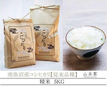 【予約Ｒ7年産　新米予約】南魚沼産コシヒカリ精米5kg 山本家【従来品種】【2025年10月中旬より順次発送予定】