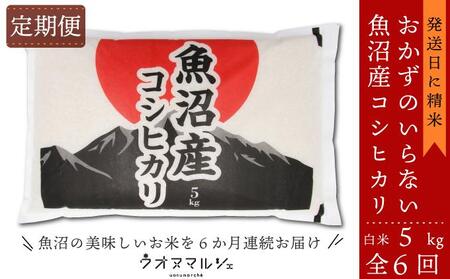 yߘaVNYVāzyĒ/SUz ̂Ȃ YRVqJ@ĂT