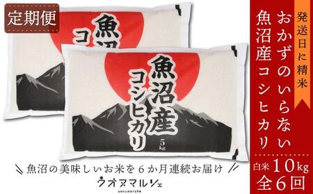 yߘaVNYVāzyĒ/SUz ̂Ȃ YRVqJ@ĂPO