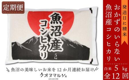 yߘaVNYVāzyĒ/SPQz ̂Ȃ YRVqJ@ĂT