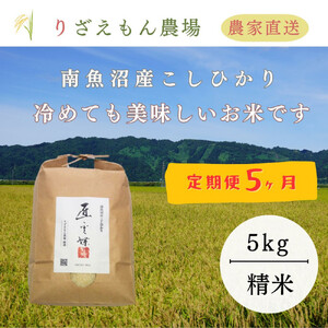 sVė\tty5×5kgsv25kgtzߘaVNY@싛YRVqJ@5kg_Y_ƒ^y2025N10{菇\z