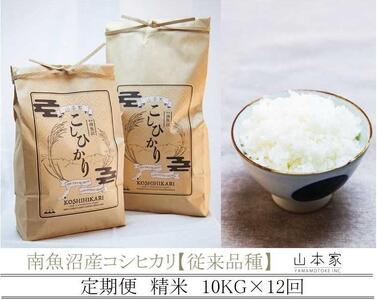 y\q7NY@Vė\zyցz싛YRVqJ10kg×12 R{Ɓy]izy2025N10{菇\z