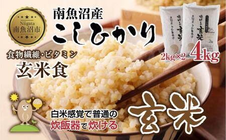 �싛���Y �R�V�q�J�� ���ʂɐ����� ���� 2kg×2�� �v4kg �����Ђ��� �V���� �� ���ĐH �R�� ����