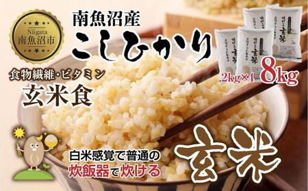 �싛���Y �R�V�q�J�� ���ʂɐ����� ���� 2kg×4�� �v8kg �����Ђ��� �V���� �� ���ĐH �R�� ����