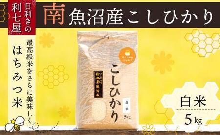 [令和6年産 新米]南魚沼産コシヒカリ『はちみつ米』白米5kg[新潟県 特A地区][米 お米 こしひかり 南魚沼 米 玄米 白米 無洗米 こめ 新潟 米]